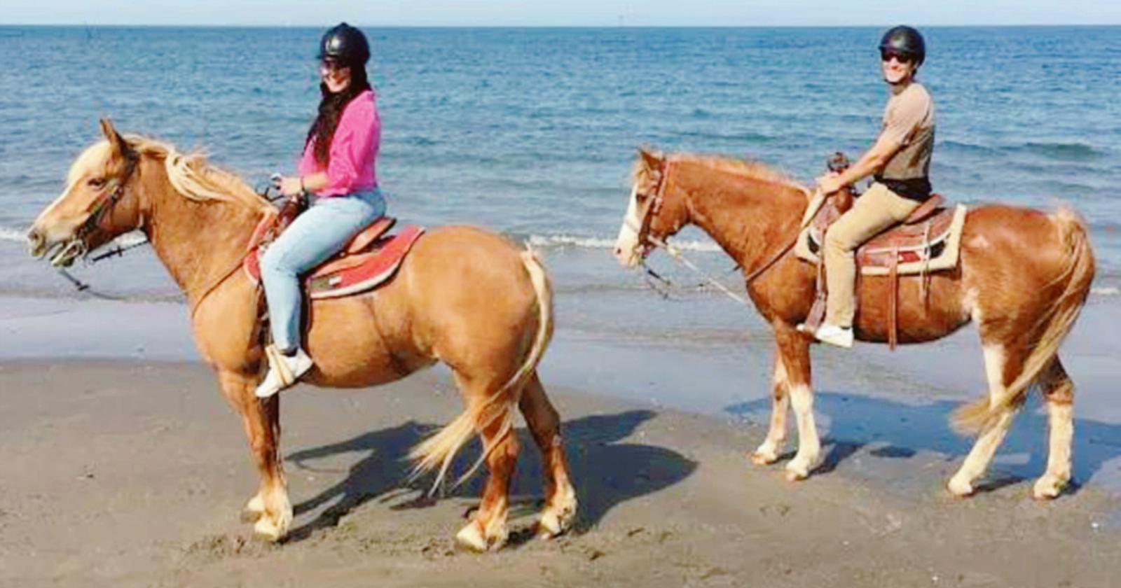 Via libera ai cavalli in spiaggia