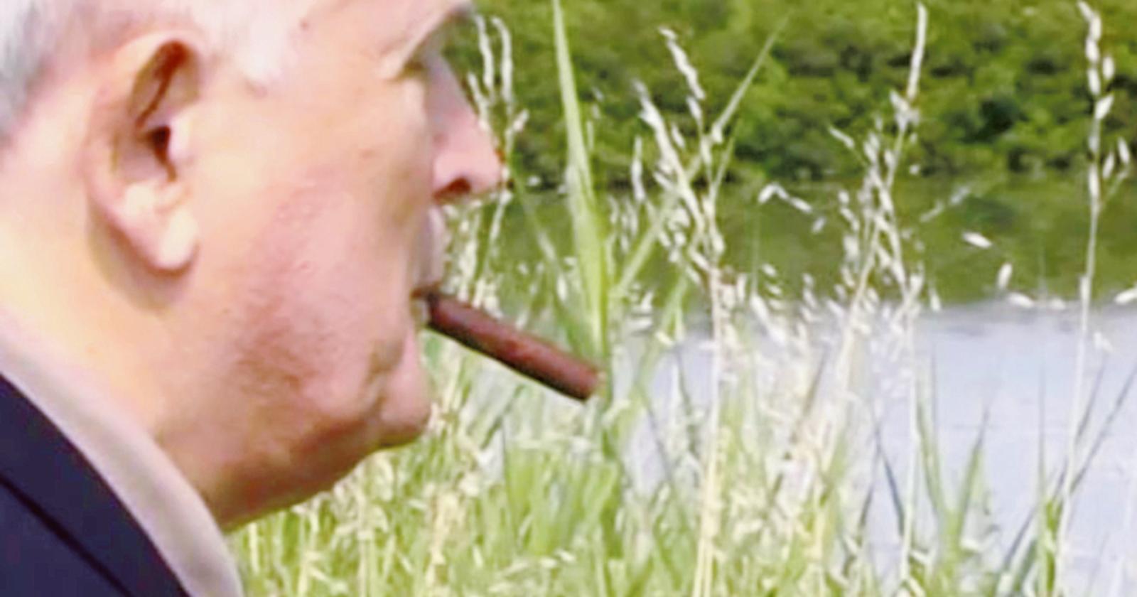 “L’esistenza errante di Cibotto”