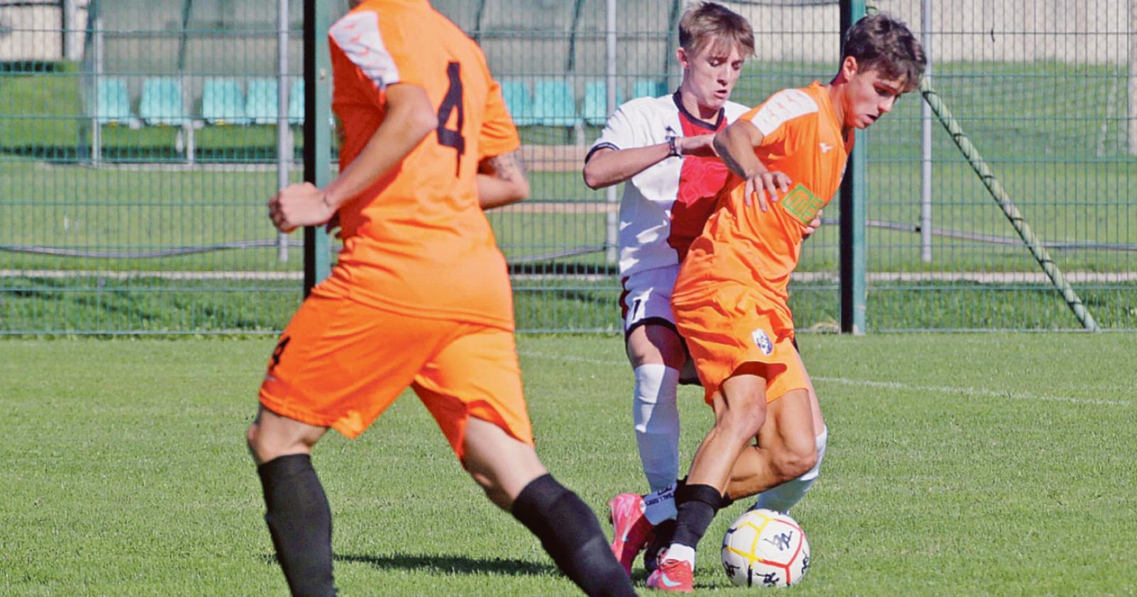 Adesso il Rovigo punta ai playoff