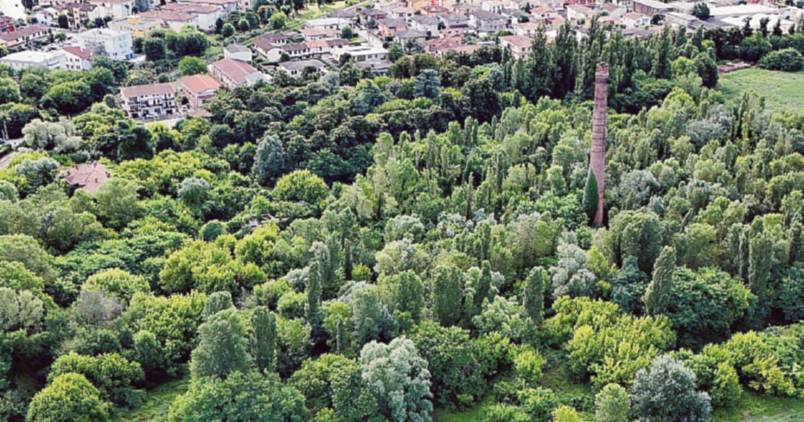 “La proprietà rimane invariata”