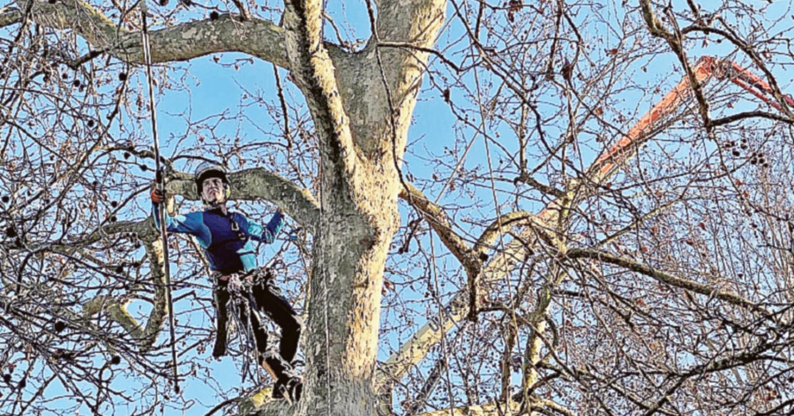 Il parco di via del Gelso si rifà il look