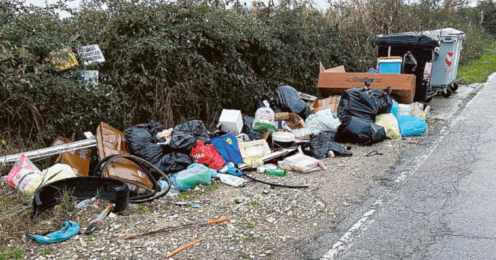 Comune, scontro sugli ecovandali