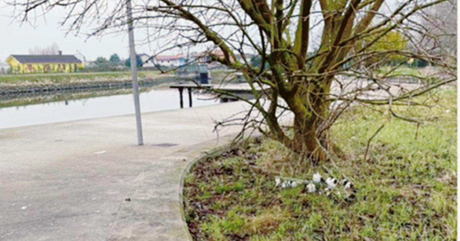 Rifiuti rimossi a Porto Levante