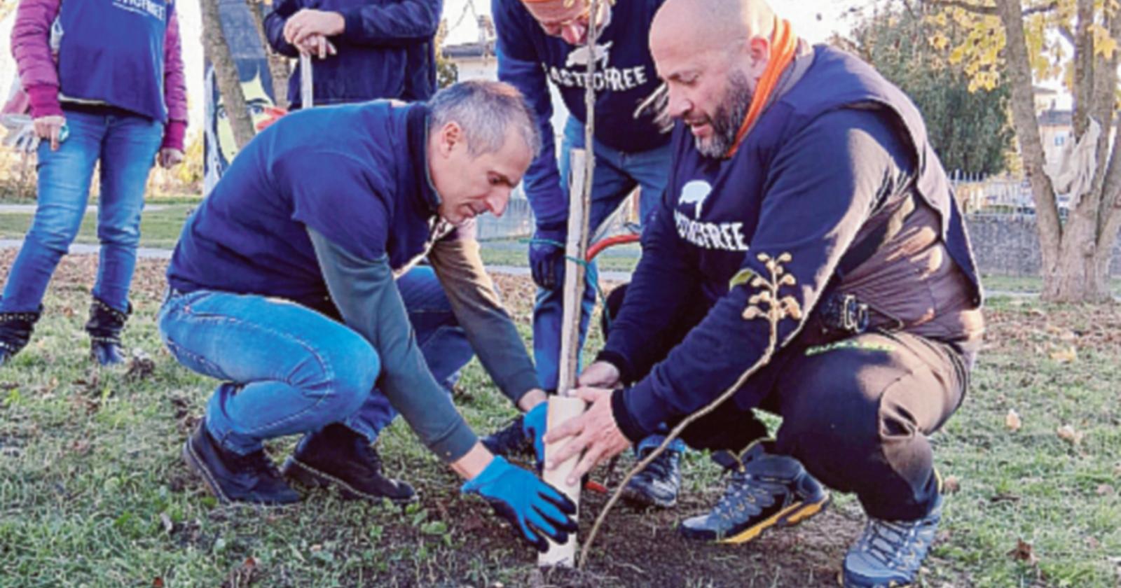 Plastic Free pianta nuove essenze