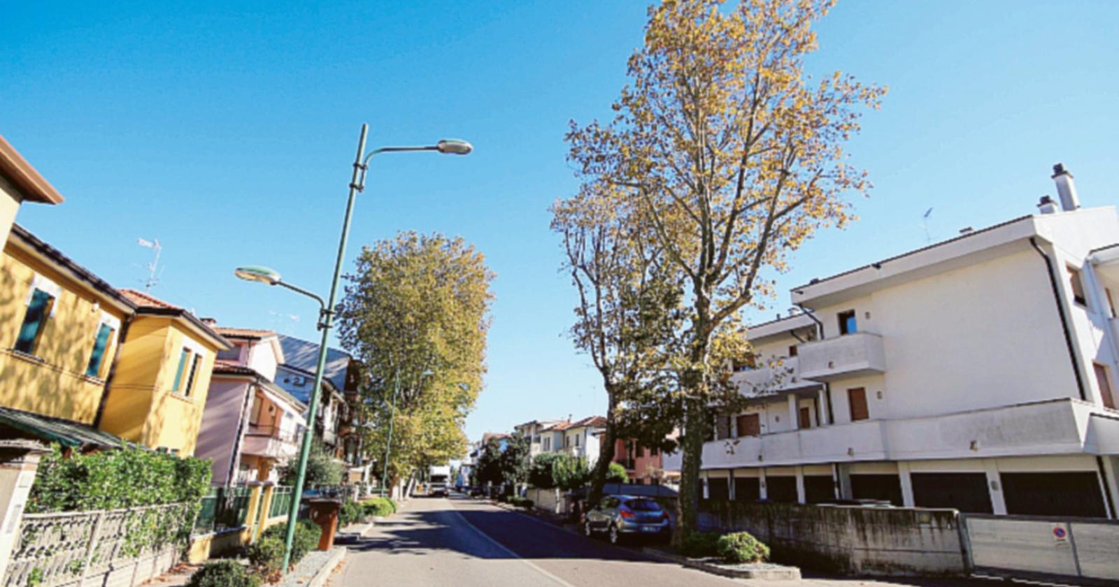 “Si piantino alberi partendo dai nostri viali” 