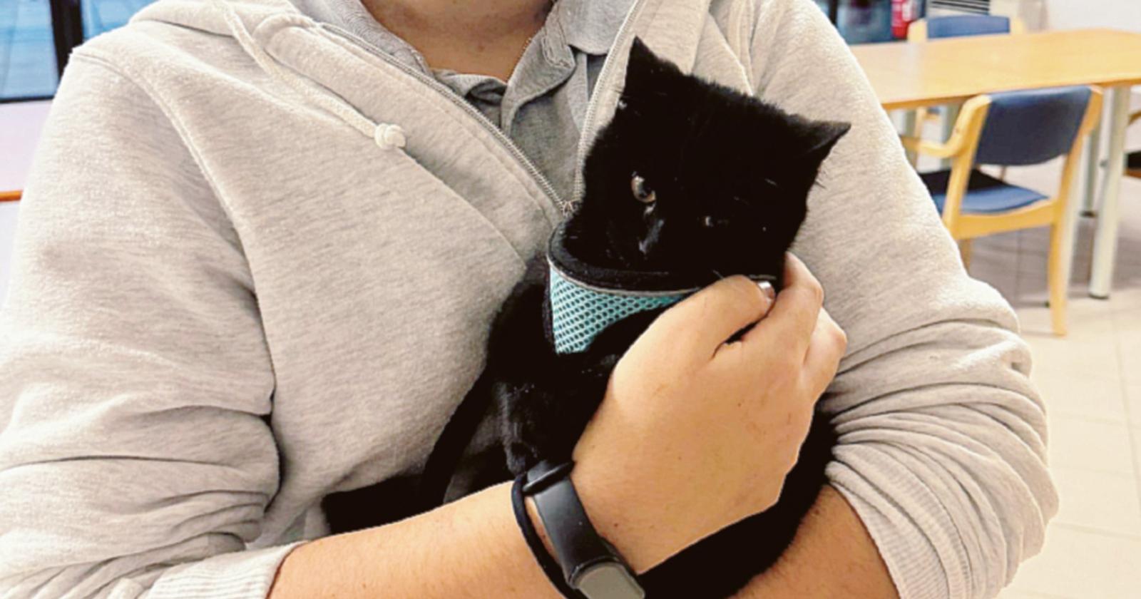 Sono vere “fusa di benessere”