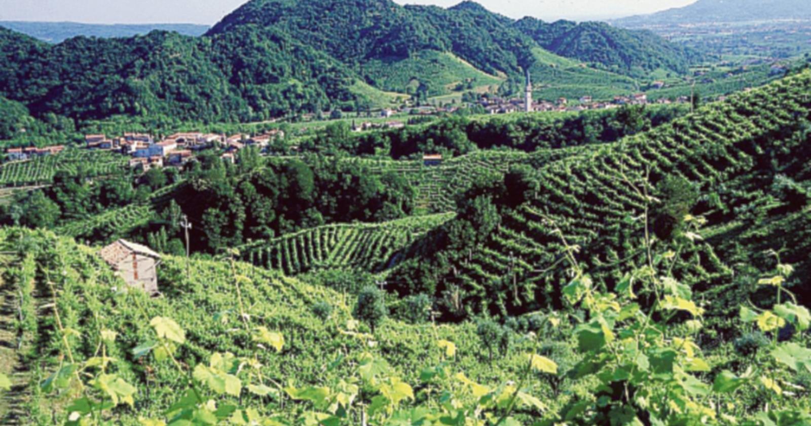 Il Crab prepara una visita nel Trevigiano 