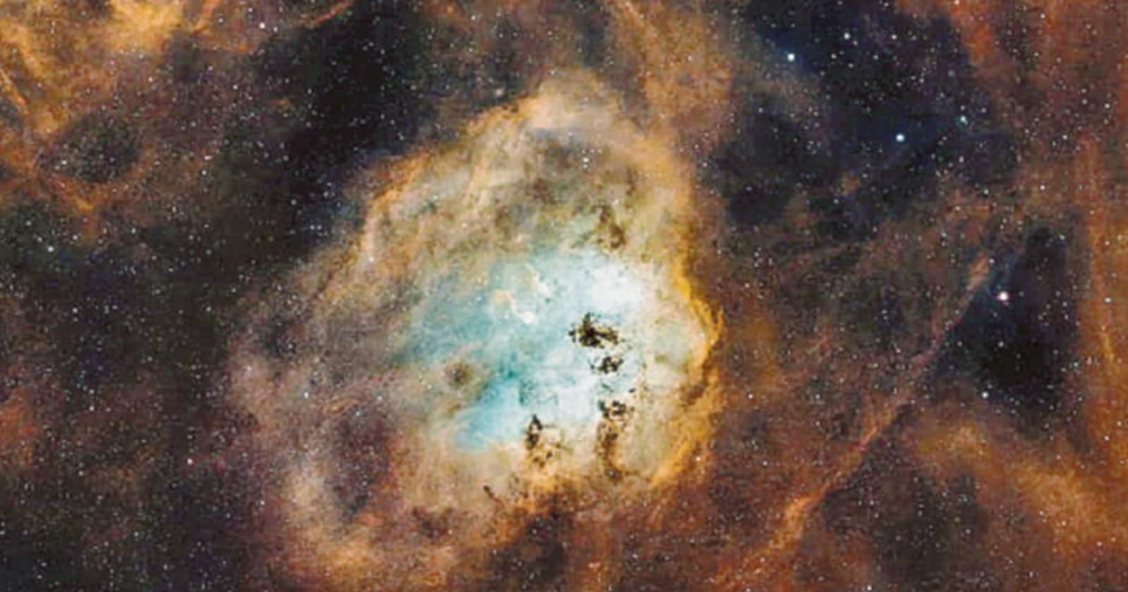 Dal giardino fotografa le stelle