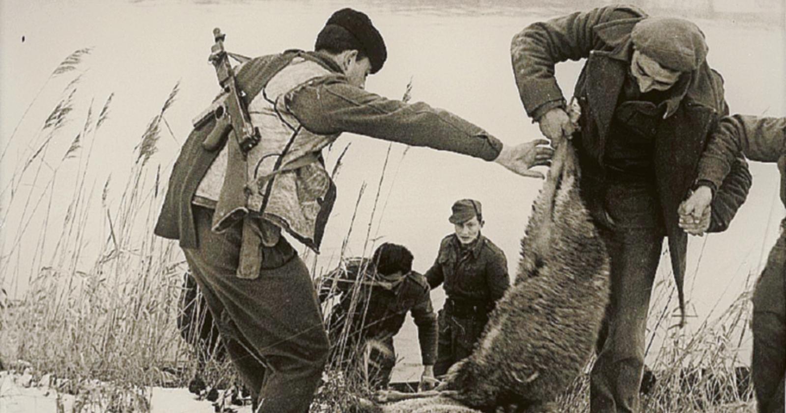 Partigiani: tra passato e futuro