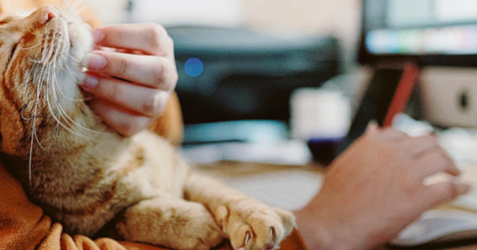 In partenza col corso!