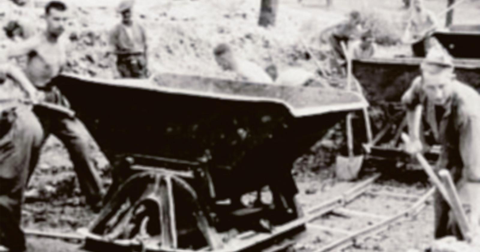 Domani il libro in edicola