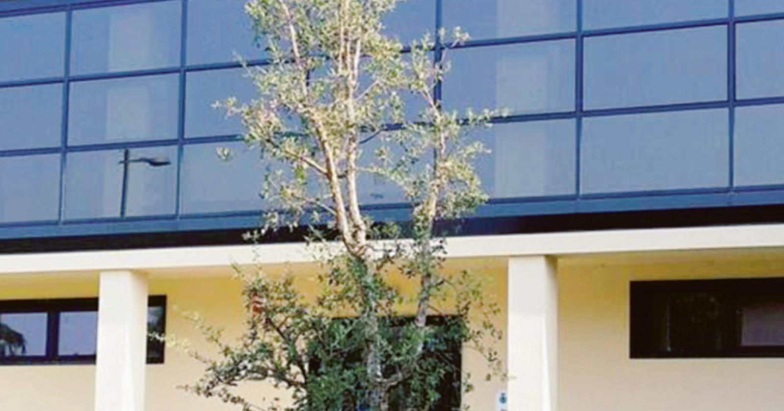 Due appuntamenti per ricordare l&rsquo;orrore