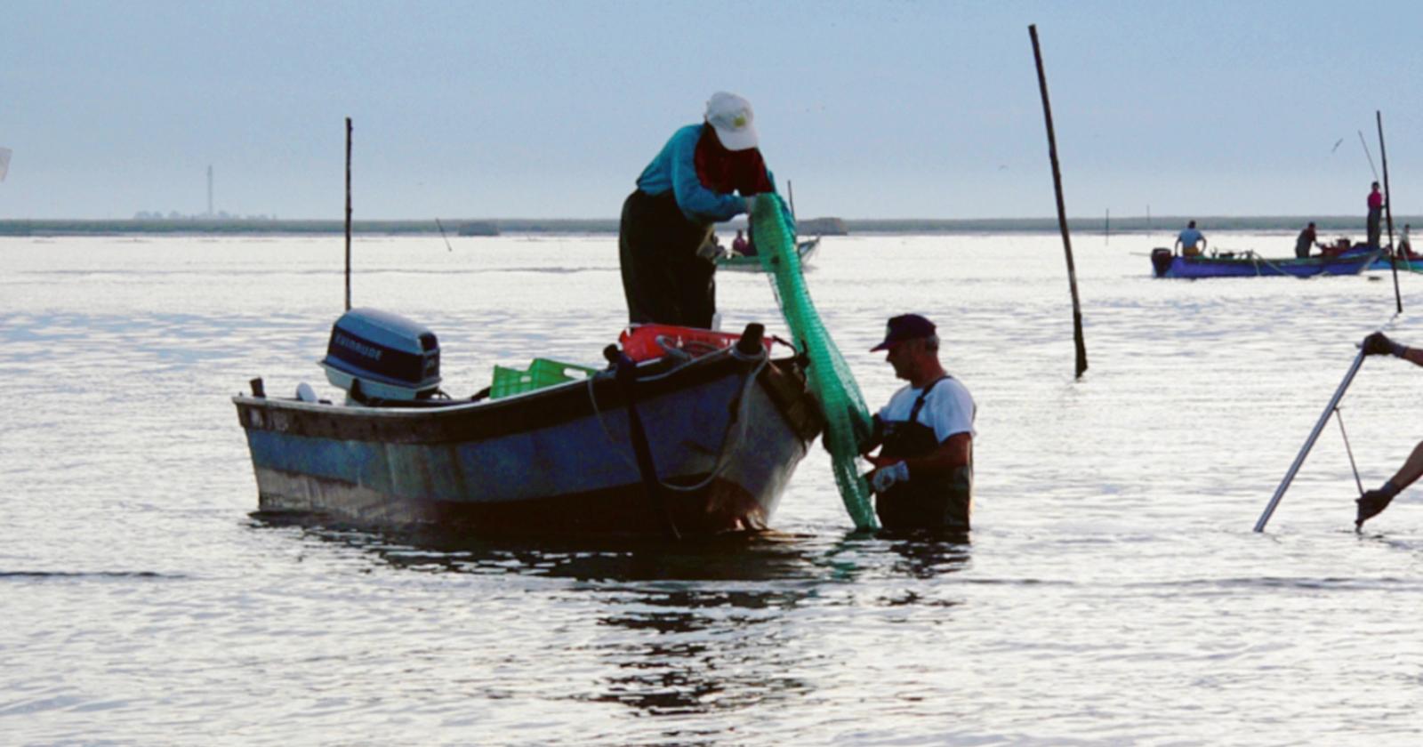 Polesine primo per morte di imprese