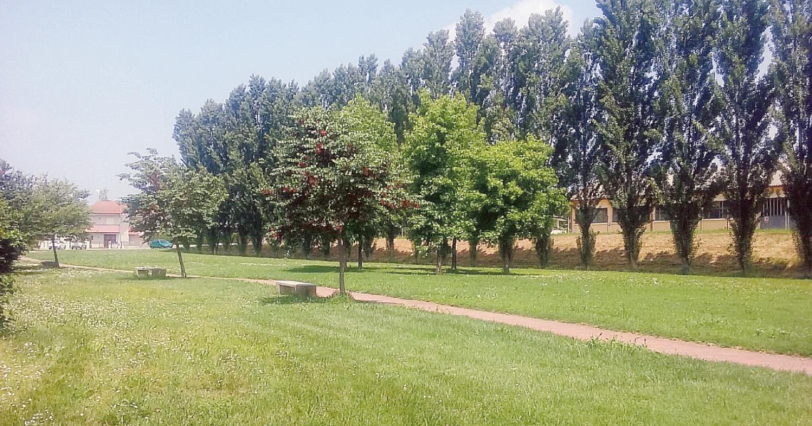 La citt&agrave; torna a colorarsi di verde