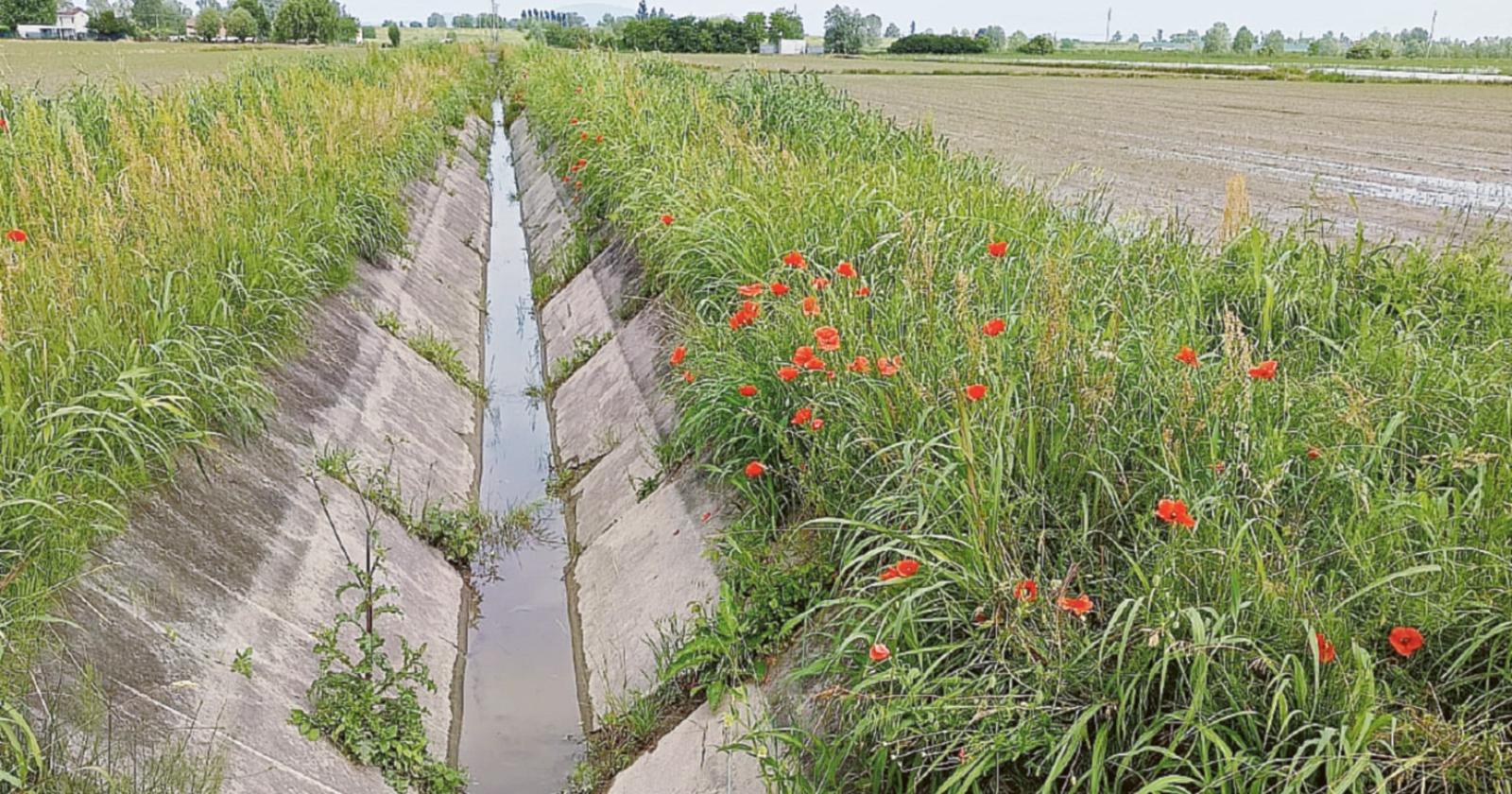 5 milioni per migliorare i canali