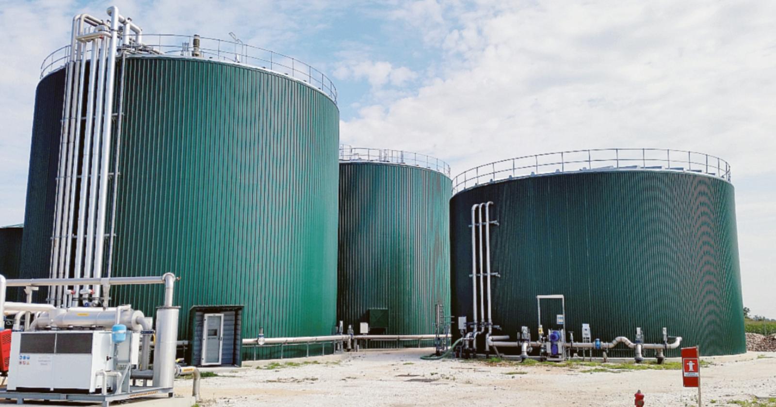 &ldquo;Biomasse, c&rsquo;&egrave; un&rsquo;altra richiesta&rdquo;