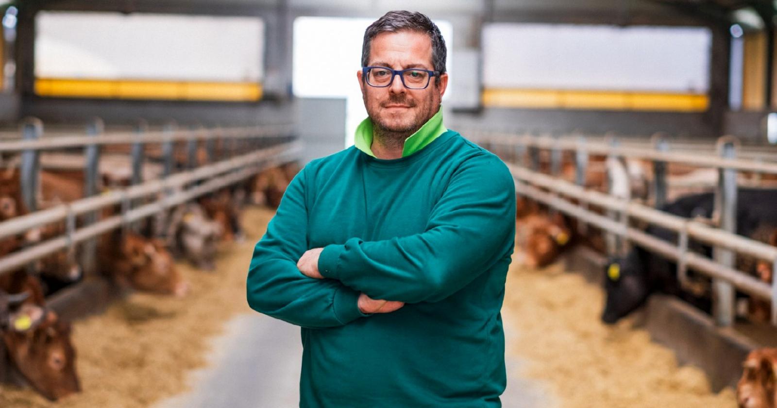 Bovini, allarme per costi e ristalli