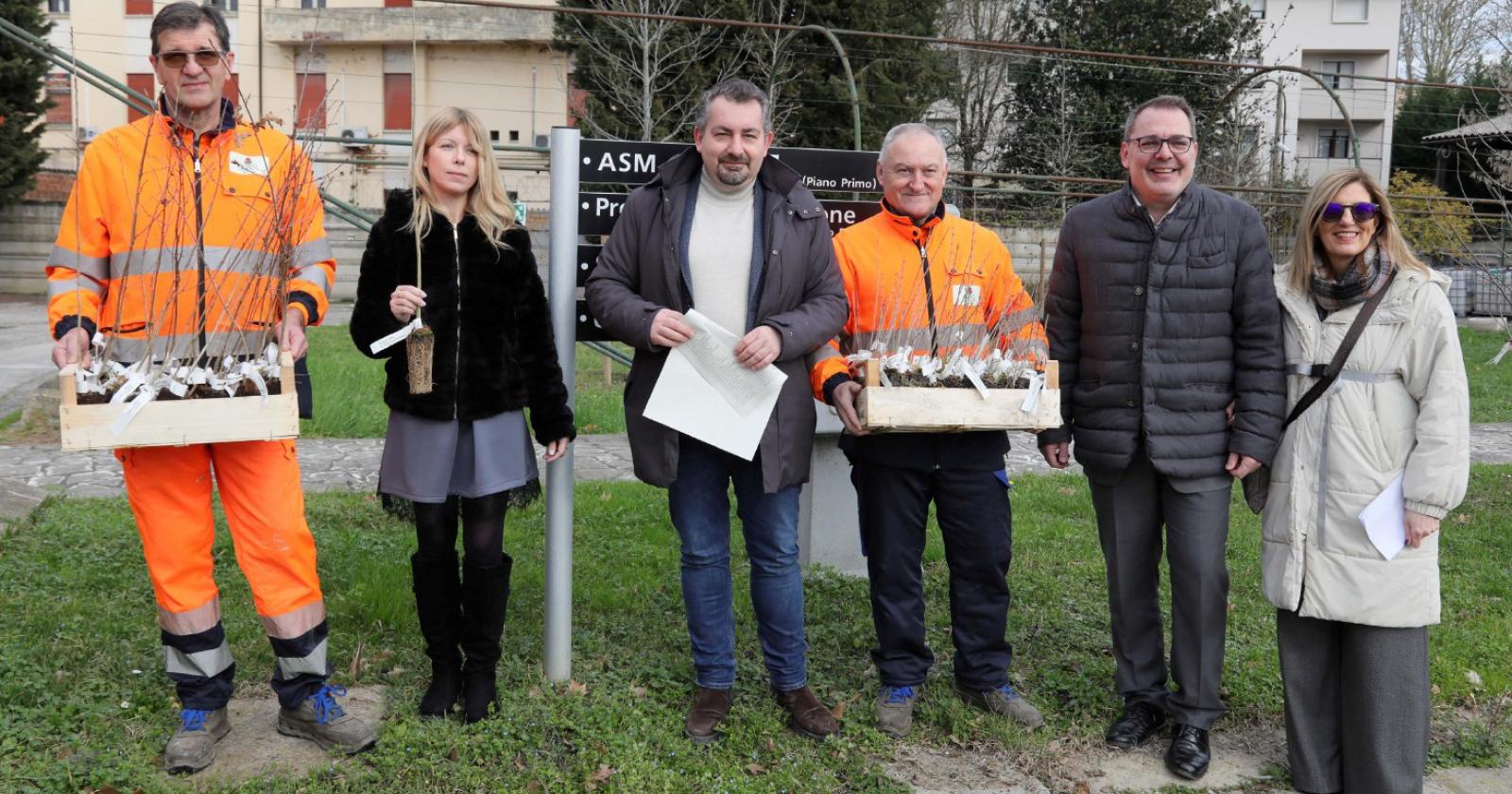 Le piante arrivano nelle case