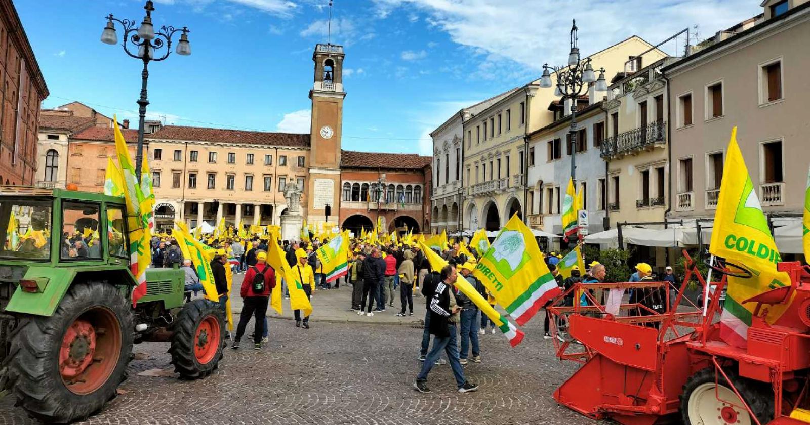 Le eccellenze del Polesine protagoniste oggi ai Giochi