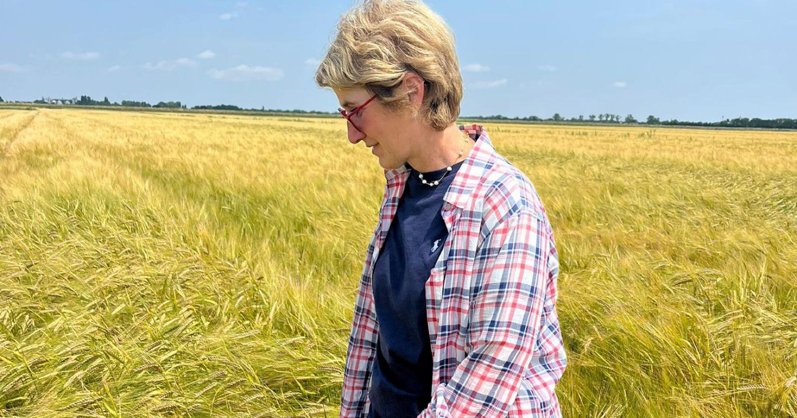 &ldquo;Soia, mais e grano: prezzi ridicoli&rdquo;