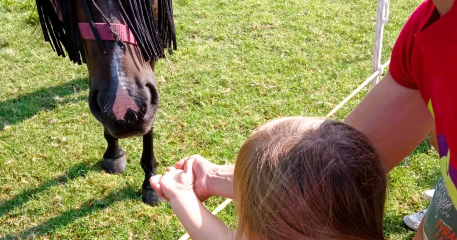 Coldiretti medaglia d&rsquo;oro di inclusione 