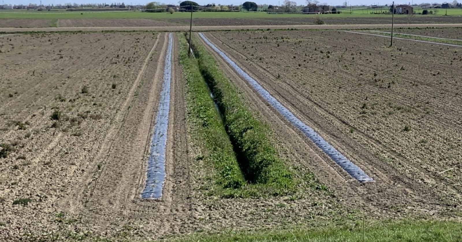 L&rsquo;agricoltura protegge le sponde