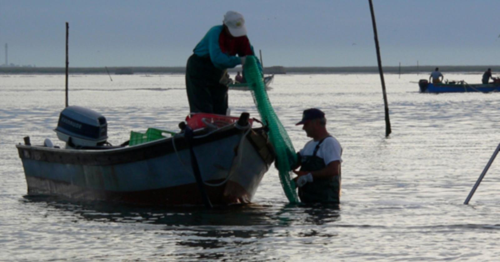 La tecnologia batte il granchio blu: la soluzione