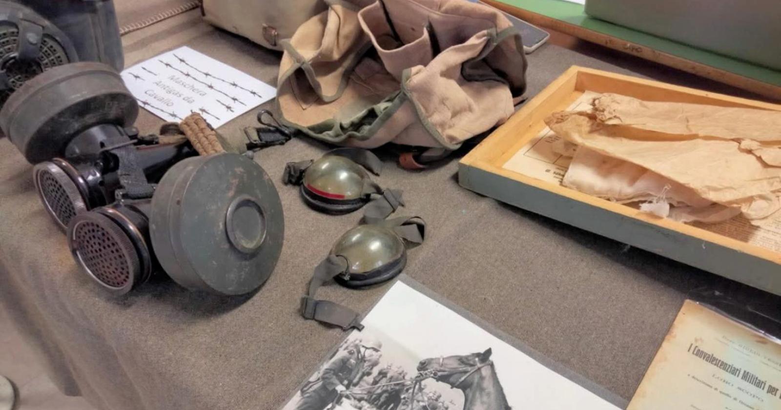 Anche gli animali hanno fatto la guerra 