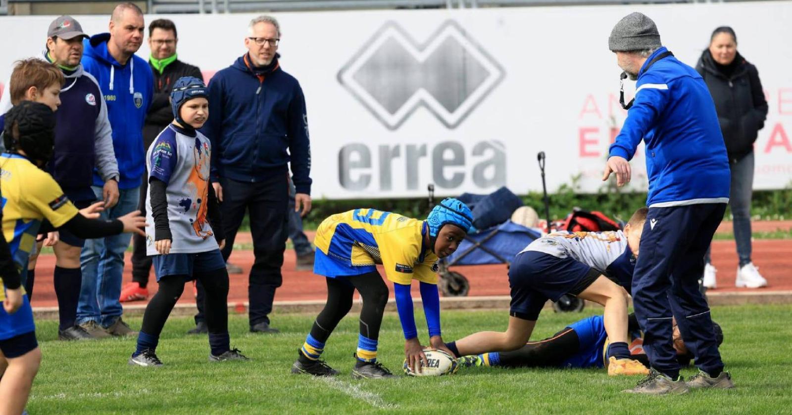 Frassinelle a pieno regime