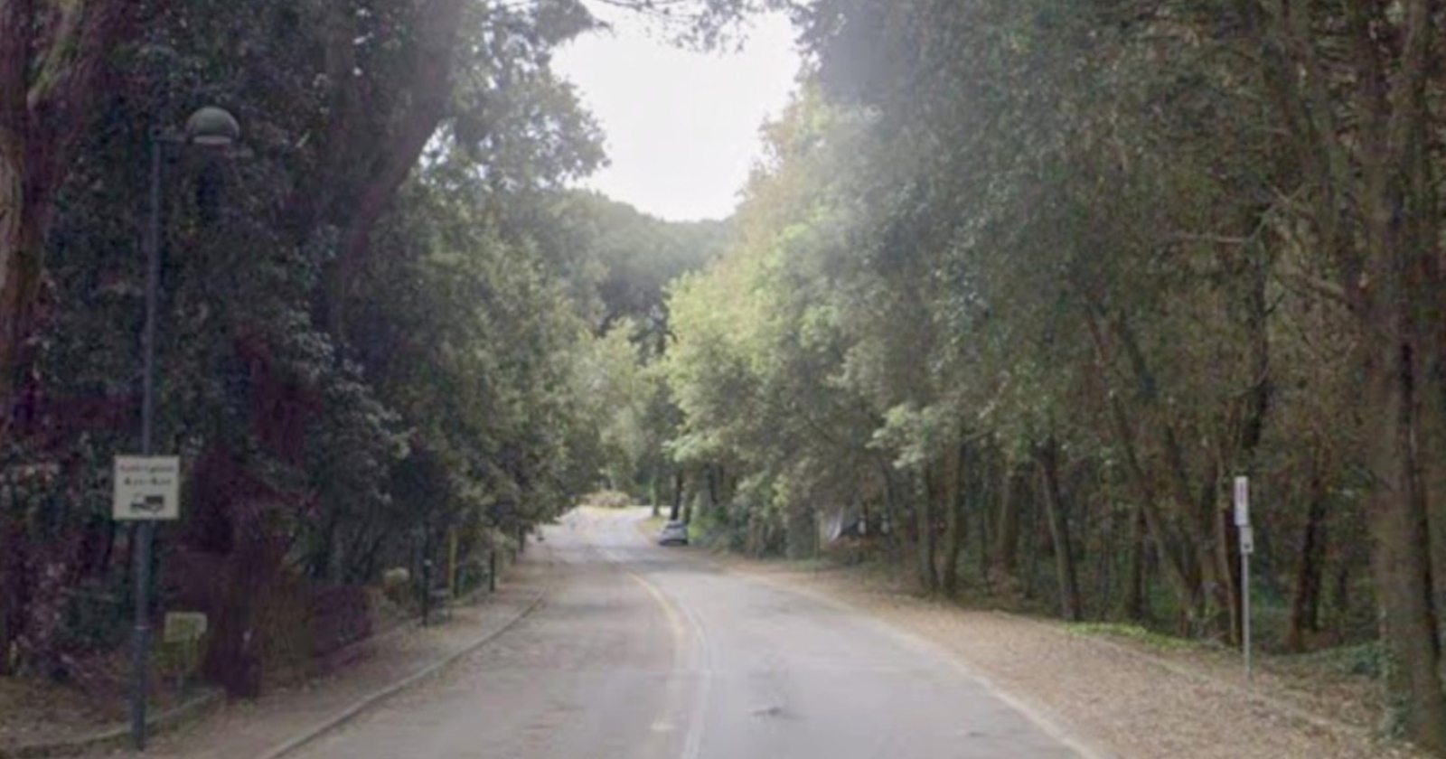 31mila euro per un verde sicuro