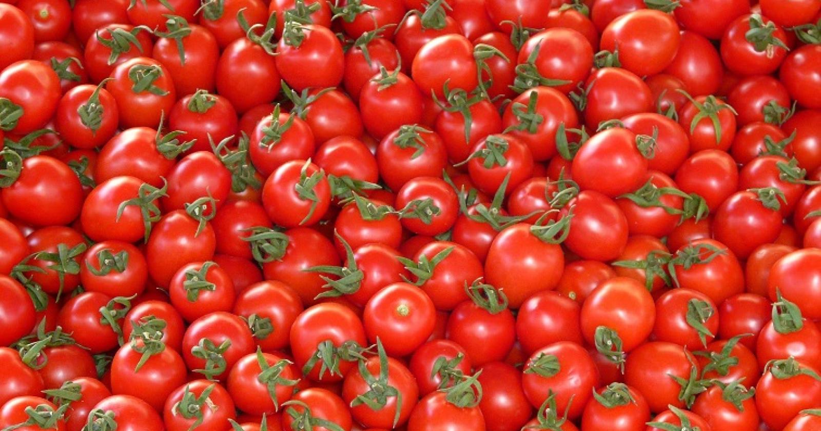 Vanno al bar e rubano i pomodori, la rabbia del gestore