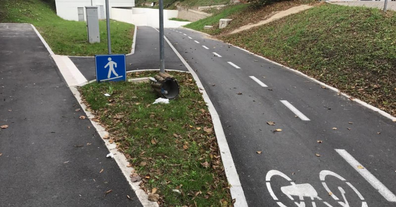 Poche piste ciclabili, aria inquinata, raccolta dei rifiuti da migliorare, aspettativa di vita inferiore e poco verde urbano per i cittadini