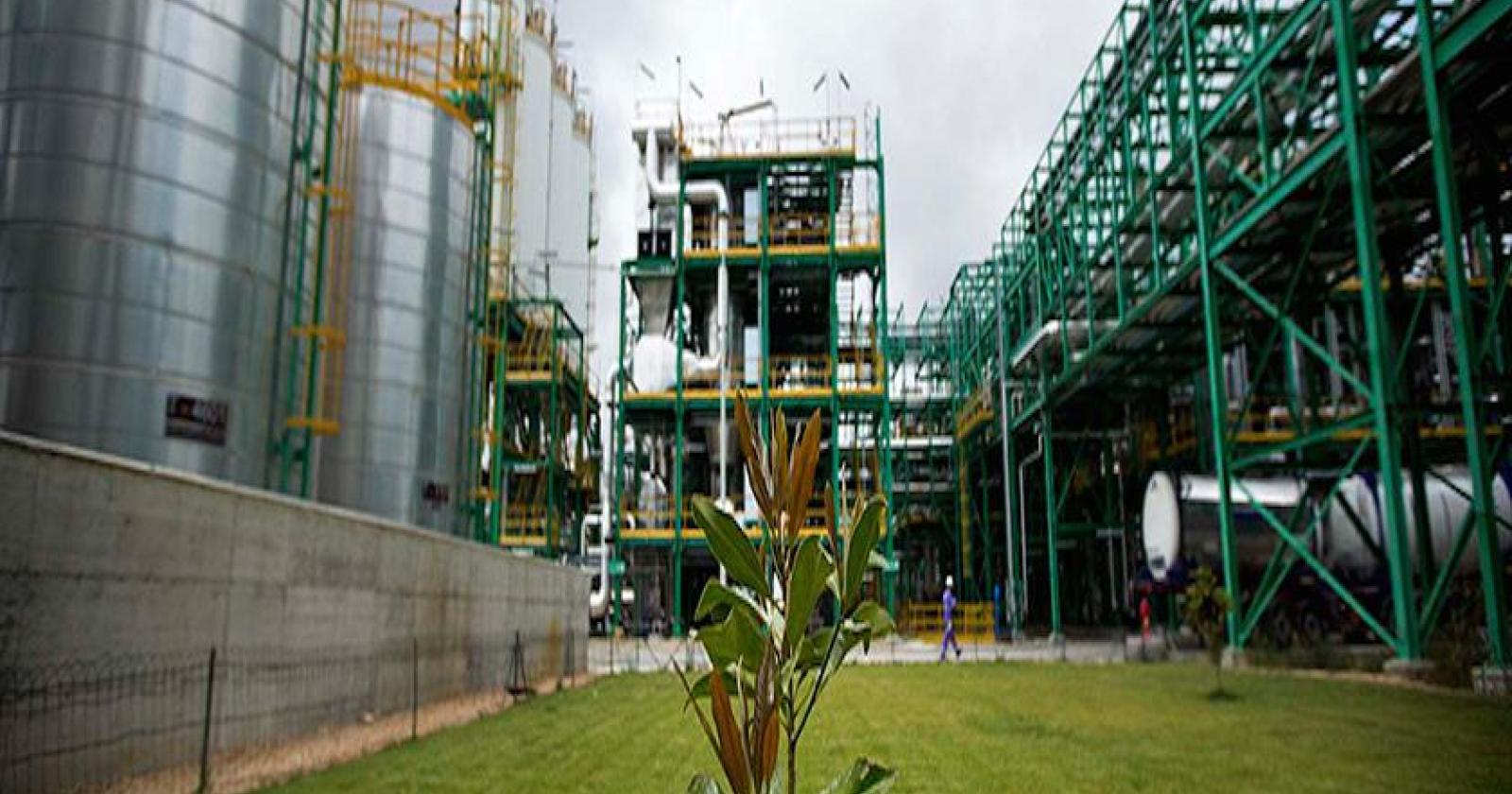 Lo sapevate? I sacchetti bio sono made in Bottrighe