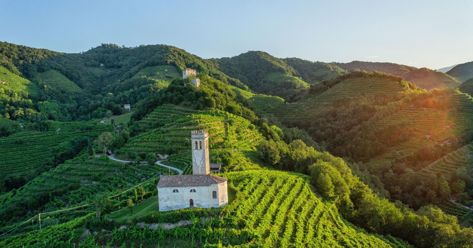 Prosecco e bio-erbicidi, presto una nuova innovativa collaborazione