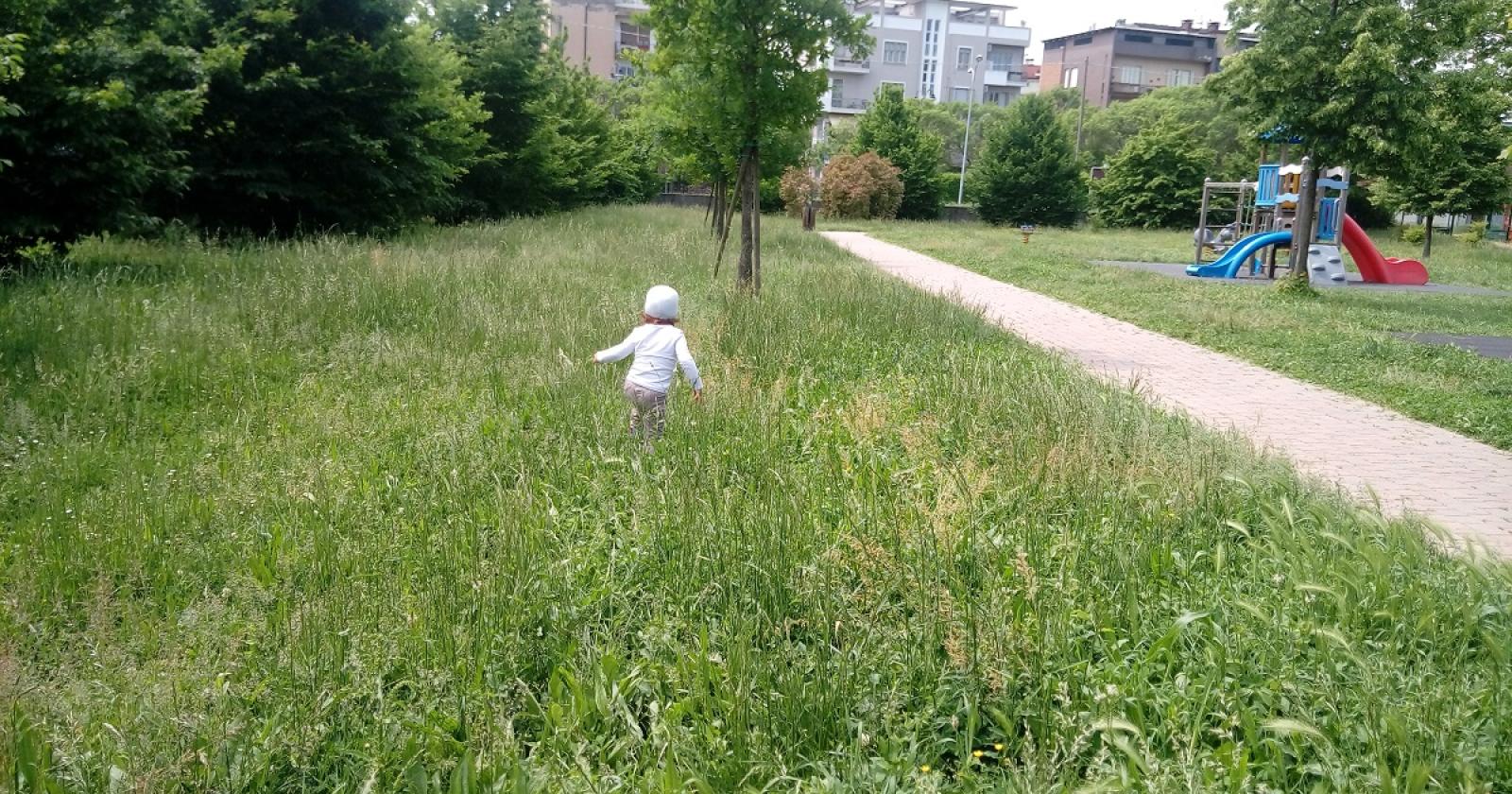 erba alta parco maddalena (27)