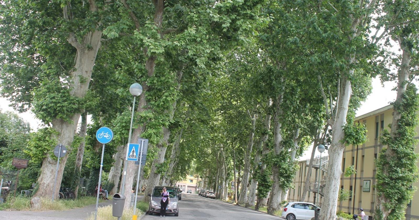 Viale Marconi potrebbe tornare a doppio senso