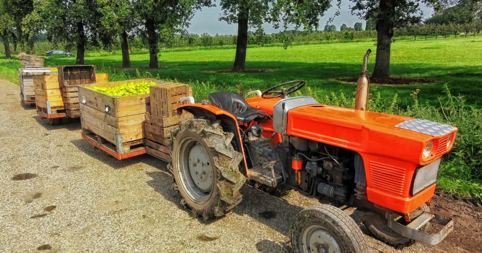 La Cisl dice "no" ai voucher nell'agricoltura