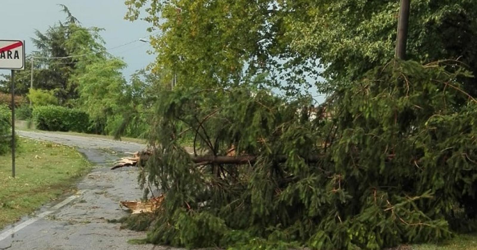 In arrivo venti forti, il Delta ha paura