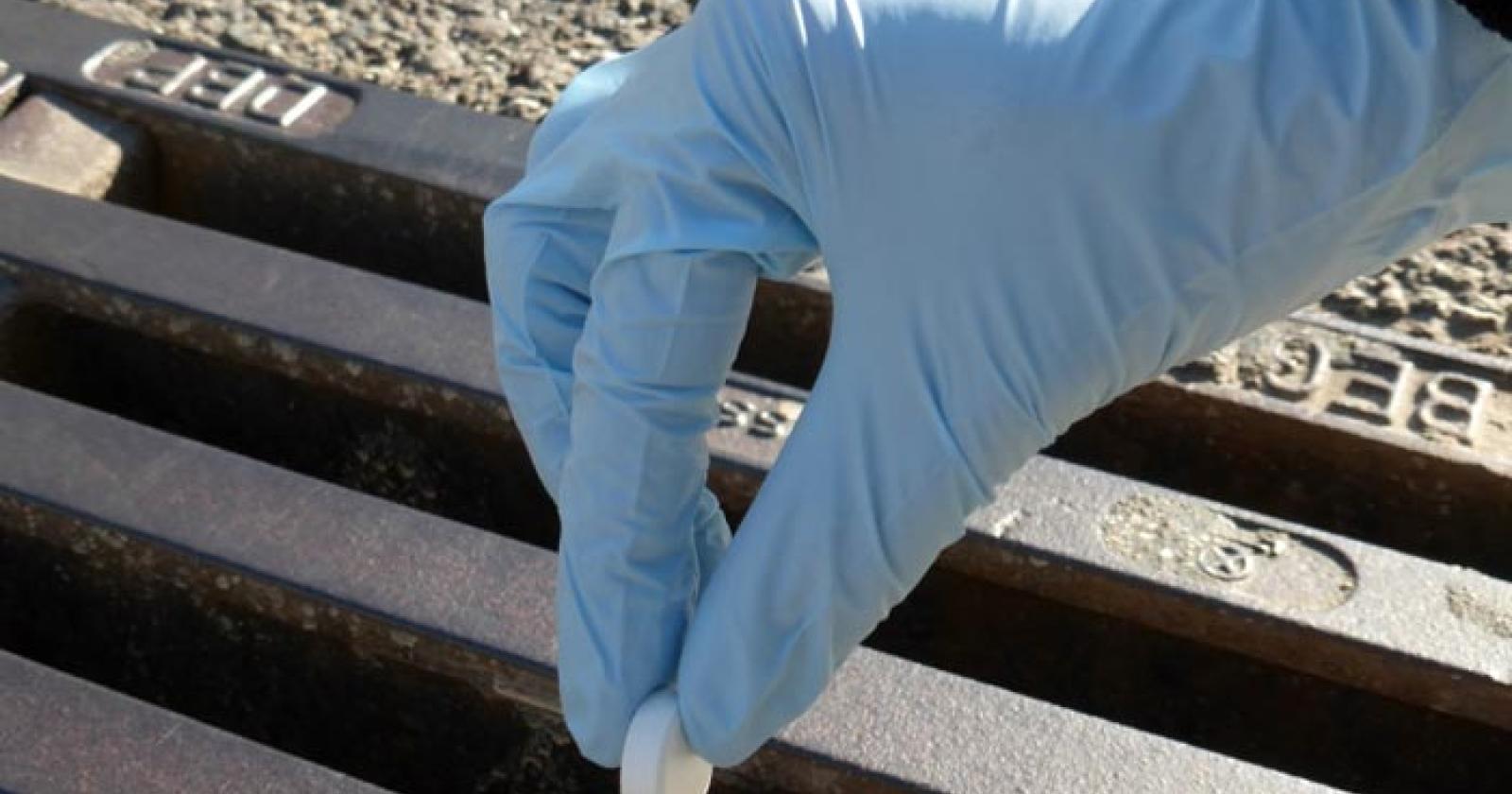 Guerra alle zanzare, larvicida gratis