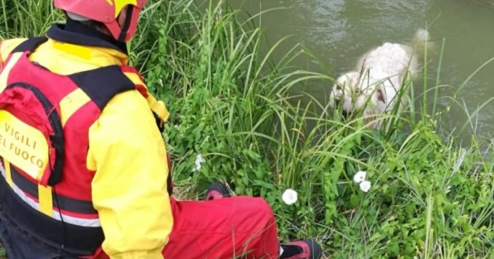 Disabile finisce in canale, salvato dai vigili del fuoco