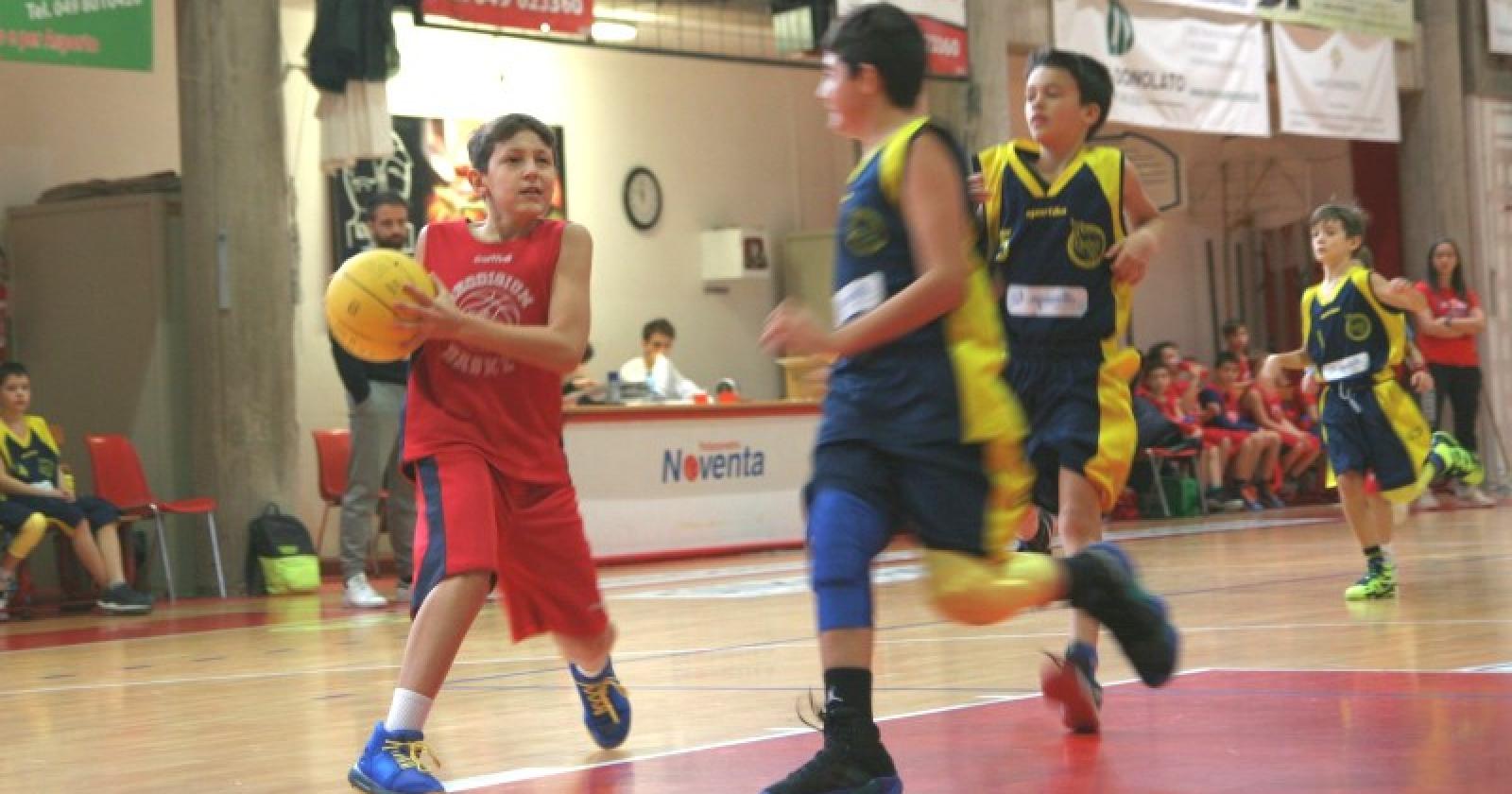 Scommessa minibasket: vinta