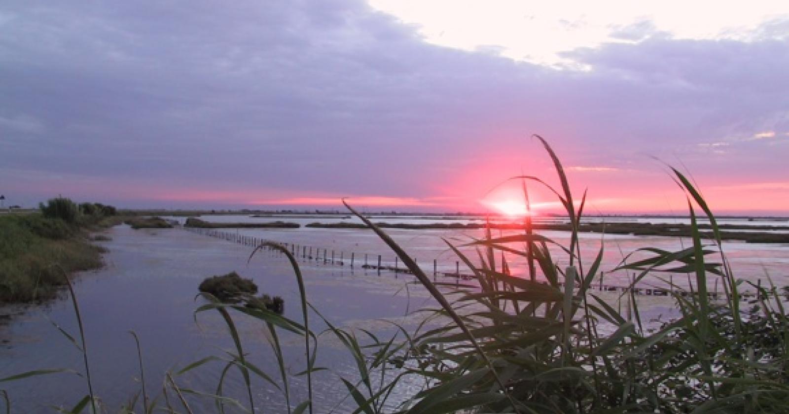 Una App sul Parco del Delta
