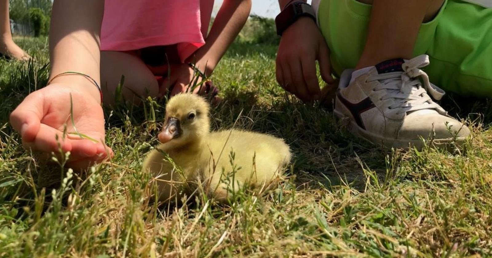 Una giornata alla scoperta della natura 
