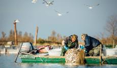 Salvare i delfini o salvare i pescatori?