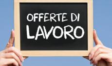Offerte a Rovigo