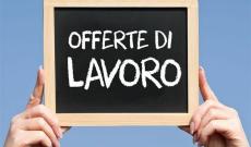 Sono arrivate 78 nuove offerte di lavoro a Rovigo e provincia