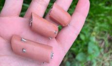 Trappole per i nostri amici