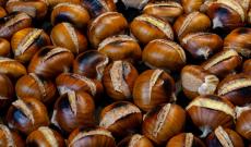 E' tempo di castagne, il dictat regionale