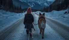 Si perde a tre anni, vegliata dal cagnone