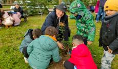 I bimbi mettono a dimora gli alberi per le api